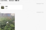 深圳新闻爆料官网最新版,聚焦热点，解码城市脉搏