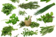 野菜生活爆料视频大全最新,揭秘大自然中的绿色宝藏