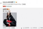 最新爆料杜新芝,揭秘背后惊人真相