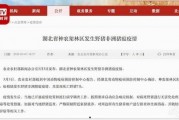 今日农村爆料新闻网最新,聚焦乡村振兴，探寻农业发展新路径